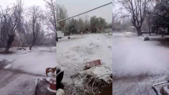 ¡Descubre cómo este fenómeno transformó el llano en un paisaje de ensueño!