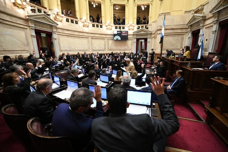 El Senado Deja Sin Efecto el Plan de Ajuste de Milei: ¡Emergencia Pediátrica y Financiamiento Universitario Aprobados!