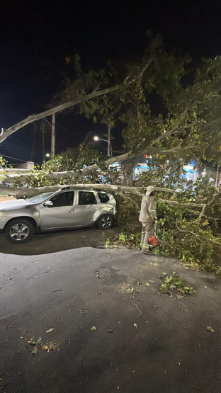 ¡Alertan por daños y un operativo de emergencia sin precedentes!